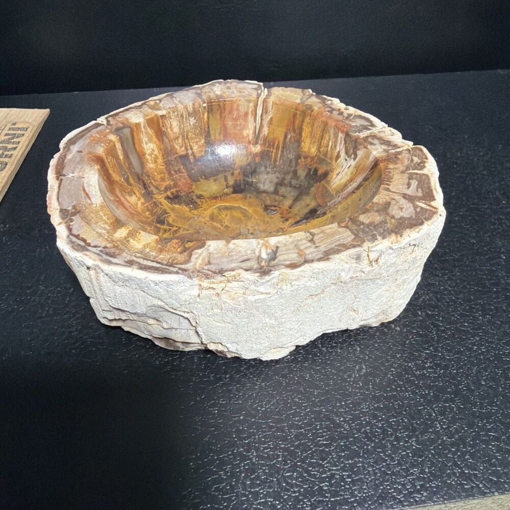 Petrified Wood Trinket Dish 1.13 Lbs 5”long 2”high